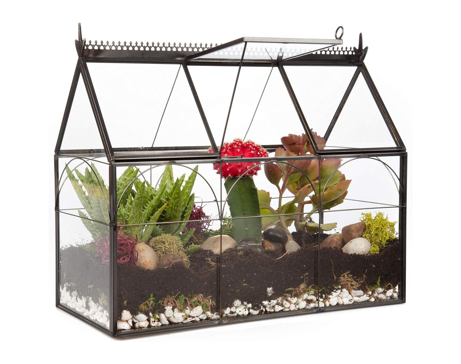 D'Eco Glass Greenhouse Terrarium (10x4.5x9) Tabletop Black Hinged Geometric Planter - Home, Garden, Office Decor- Gift for Plant Lovers