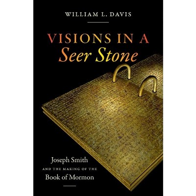 Visions in a Seer Stone - by  William L Davis (Paperback)
