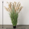 Sullivans Artificial 6'4" Towering Potted Plume Grass, Multicolored - 4 of 4