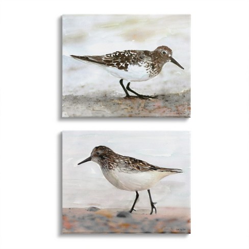 Stupell Industries Sandpipers On Coast Nautical Bird Beach Scene Target