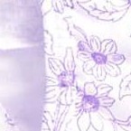 wake blue/garden blooms/purple amethyst