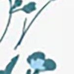 French Blue Floral