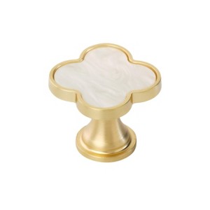 Amerock Accents Decorative Clover Cabinet or Drawer Knob, 2 Pack - 1 of 4