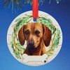 Collections Etc Personalizable Pet Ornament - 2 of 3