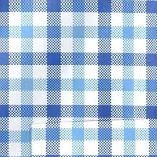 dusty blue check