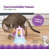 Catstages 2-in-1 Chirping Bird and Track Topper with Inner Ball Track Cat Interactive Toy - Purple - 4 of 4