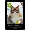 Trends International Grumpy Cat - The Brighter Side Unframed Wall Poster Prints - 4 of 4