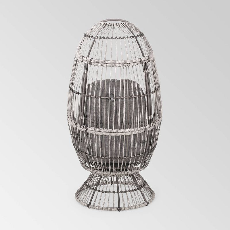 Pintan Wicker Swivel Egg Chair - Christopher Knight Home, 4 of 8