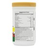 Source Of Life Gold Drink Mix by Nature's Plus  -  1.2 lb Powder - 2 of 3