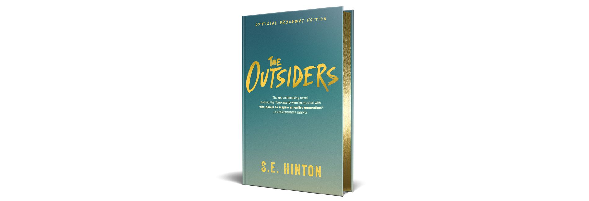 The Outsiders - by  S E Hinton (Hardcover)