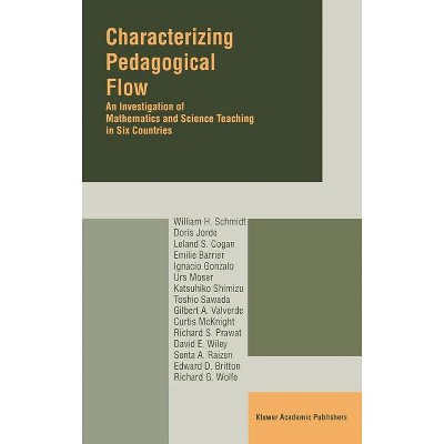Characterizing Pedagogical Flow - by  W H Schmidt (Hardcover)