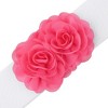 INSPIRE CHIC Women's Large Chiffon Rose Double-Flower Elastic Stretch Wide Corset Waist Belt 1 Pc - 2 of 4