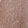 Bright Creations Rose Gold Powder Glitter for Resin, Nail Art, Slime, Art and Crafts Supplies (7 oz) - image 3 of 4