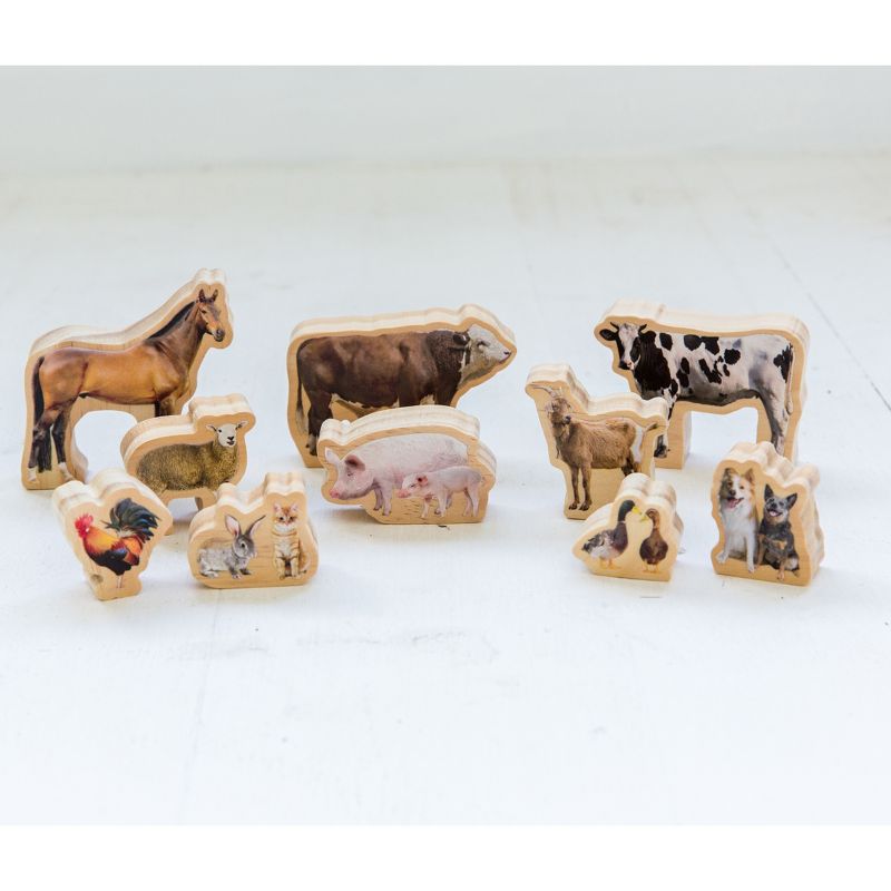 The Freckled Frog My Farm Animals, Set of 10, 2 of 5