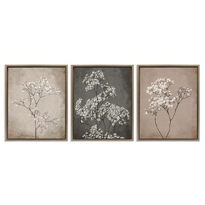 Stupell Industries Botanical Baby's Breath Herbs, 17" x 21" - 1 of 4