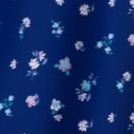 evening blue flowers
