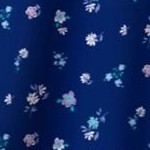 evening blue flowers