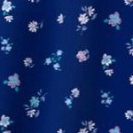 evening blue flowers