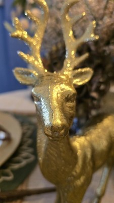 Guest review image 6 of 6, zoom in