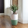 Dupray Bloom Air Purifier | Medical-Grade HEPA-13 Air Filtration - 4 of 4
