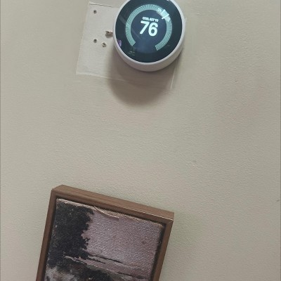 Guest review image 2 of 2, zoom in