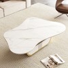 41.7" Sintered Stone Butterfly Coffee Table with Storage Shelf & Drawer and Stainless Steel Base for Living Room - 3 of 4