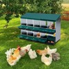GustoWave Nesting Boxes for Chickens, 6/8/10 Compartment Chicken Egg Laying Nest Box for Hens - 3 of 4