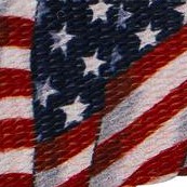 patriotic tribute