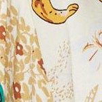 safari