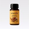 Umamiso Natural Curry Spice Blend, Gourmet Seasoning with Dried Miso, Garam Masala, Roasted Garlic & Herbs, Bold, Sweet Umami Depth - 2 of 4
