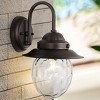 JONATHAN Y 8.25" 1-Light Rodanthe Farmhouse Industrial Iron/Glass Outdoor LED Sconce Oil Rubbed Bronze/Clear : UL Listed, Dimmable - 3 of 4