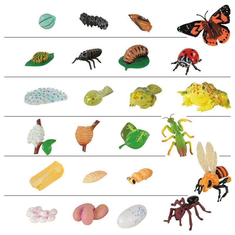Insect Lore Products Life Cycle Figurines - 24 Pieces, 1 of 7