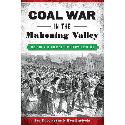 Coal War in the Mahoning Valley - by Joe Tucciarone & Ben Lariccia (Paperback)