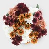 Rainbow Spice Pomps - Good Little Garden™ - 2 of 2