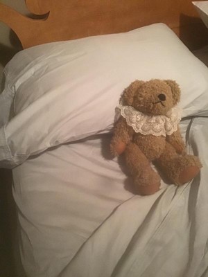 Guest review image 1 of 1, zoom in