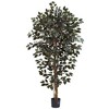 Nearly Natural 6-ft Capensia Ficus Tree - 2 of 2