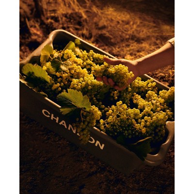 Chandon By the Bay Blanc de Blanc - 750ml Bottle