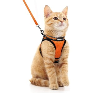 rabbitgoo Cat Harness and Leash Set for Walking Escape Proof, Adjustable Soft Kittens Vest with Reflective Strip for Cats, Light Orange,M - 1 of 1