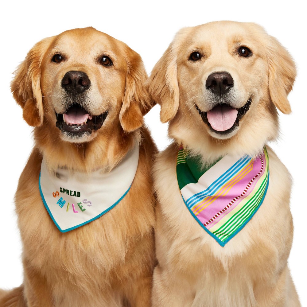 Spread Smiles Striped Reversible Dog Bandana - Green