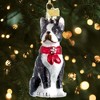 Kurt Adler Noble Gems Glass Ornament for Christmas Tree, Boston Terrier - 3 of 3