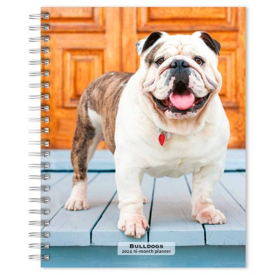 Browntrout 23-2024 Weekly/monthly Planner 7.5x7.125 Cat Lovers