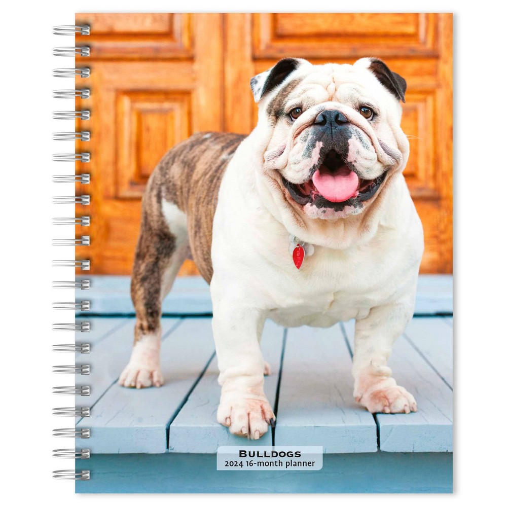 Photos - Other interior and decor Browntrout 23- Weekly/Monthly Planner 7.5"x7.125" Bulldogs 2024