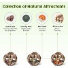 Potaroma Flopping Fish and 3 Silvervine Cage Balls Bundle - 3 of 3
