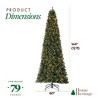 Home Heritage Cashmere Quick Set 12 Foot Pine Pre-Lit Artificial Christmas Tree Holiday Decor with 800 Color-Changing LED Lights, Green - 3 of 4