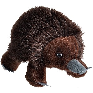 Wild Republic Hug'ems Echidna Stuffed Animal, 7 Inches - 1 of 1