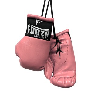 Forza Sports Mini Boxing Gloves - 1 of 2