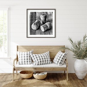 Amanti Art Corks IV by Assaf Frank Wood Framed Wall Art Print - 1 of 4