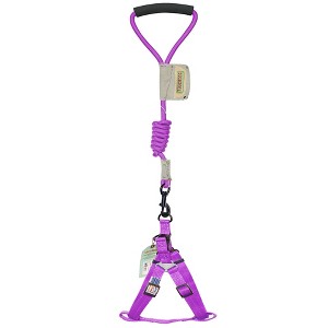 Touchdog  'Faded-Barker' Adjustable Dog Harness and Leash - 1 of 2