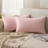 Unique Bargains Velvet Modern Solid Couch Sofa Home Decorative Pillow Covers 2 Pcs - 2 of 4