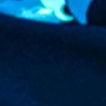 barbados blue